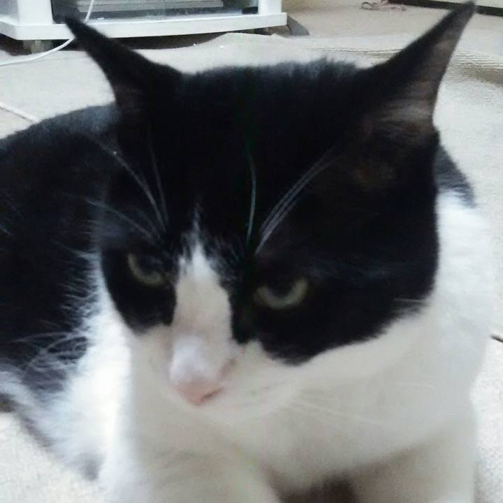 952c869d 2ceb 4ade ac17 1ccb75042d97