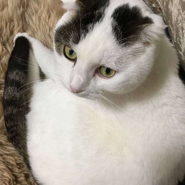 952cbec4 459e 4bc5 9aa3 d2f51d9cfb86