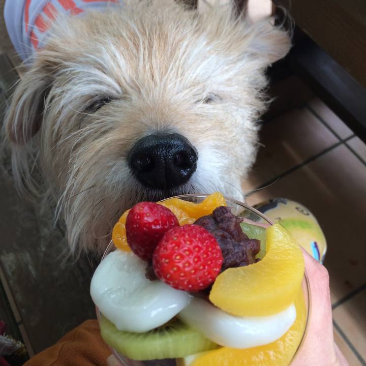 952e3d3f ea7f 4325 b069 60cc6c44056b