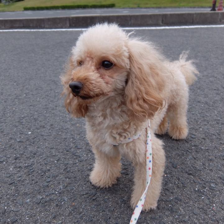 952e5df1 f078 41d9 8cb5 0a454b3e816c