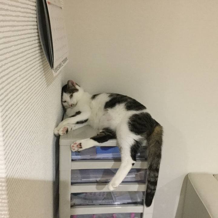 952e89bb 9cd5 4d22 8a5f 922e2f6986ff