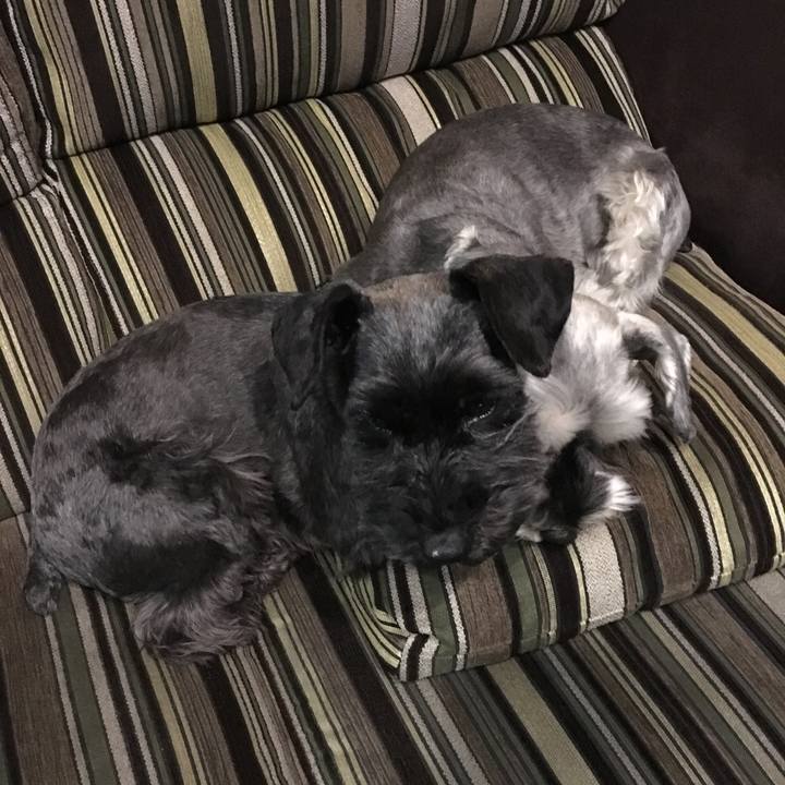 952ee462 67fb 46cc 862a 44b5c139e810