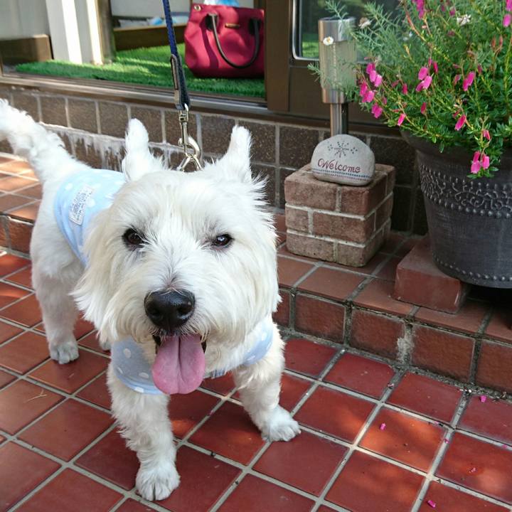 952f0c75 c422 4690 9603 6f68b18a1ca5