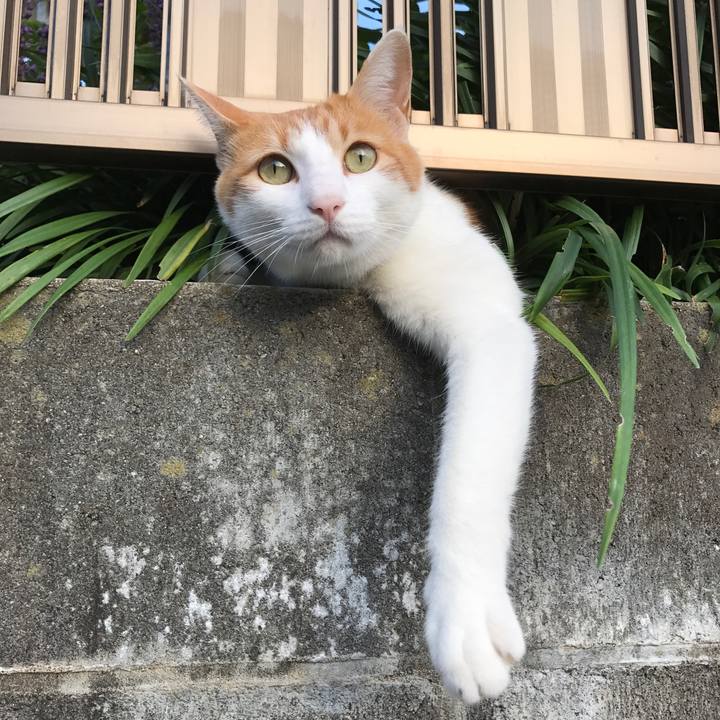 952f16cf 80a2 42d2 ae9a 15312da02dcf