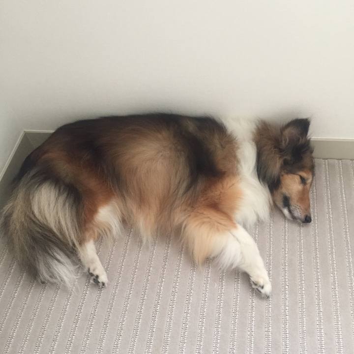 952f5797 9f3a 40d0 a105 bc2cb8a31e93