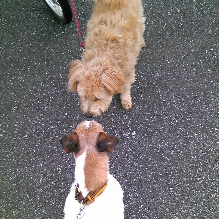 952f8dce 7282 4e2e 97aa 7af55ac0e27d