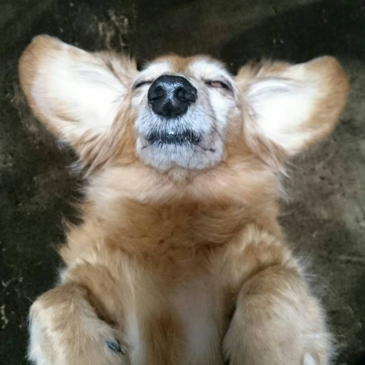 95314010 b0cf 4028 be94 ca11f5d48e42