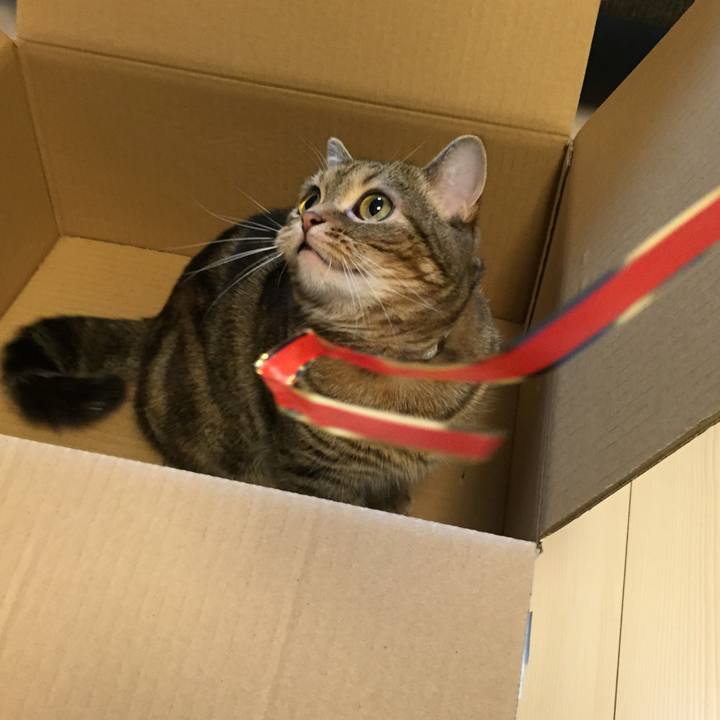 95314533 b46c 4ef5 9bb3 86697cc2ba6f