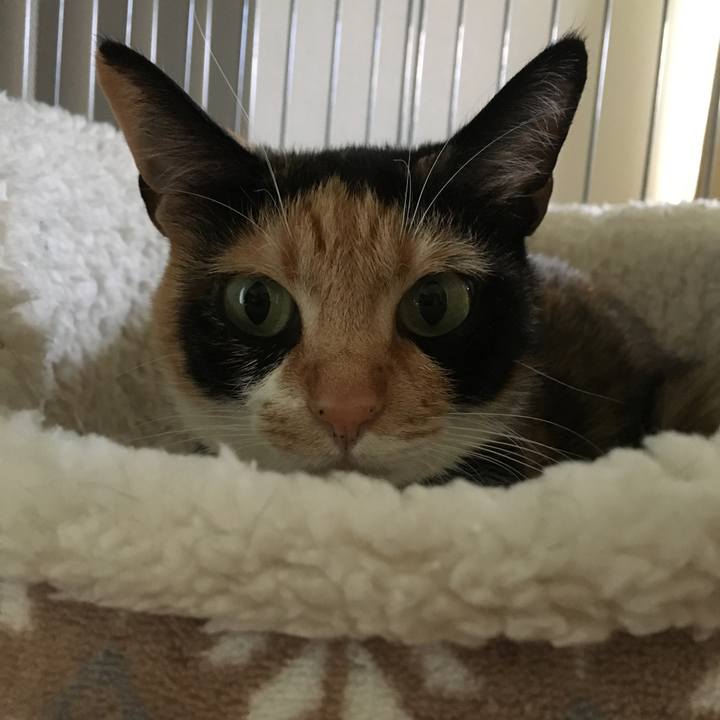 95315d2c cfb4 411d 86a0 af0f9b9f537e