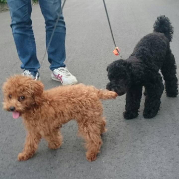 9532ee0c 8601 4cdb b2a2 031eb0731a8a