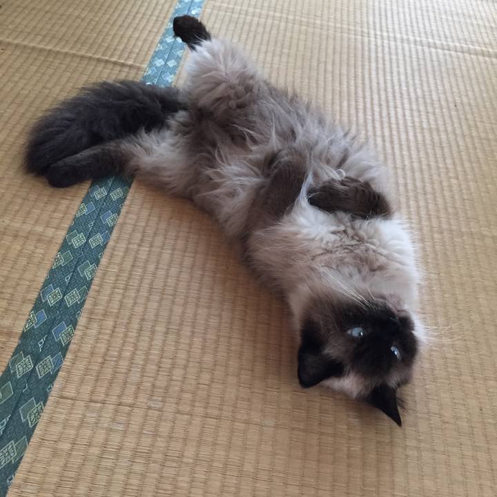 9532ff49 f662 4d1c aafb ad95ba8d6ae9