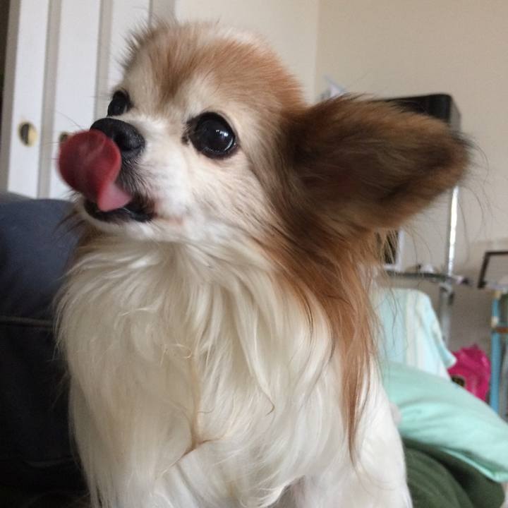 9535d916 e1d1 4cf0 98fc ab1996a337b0