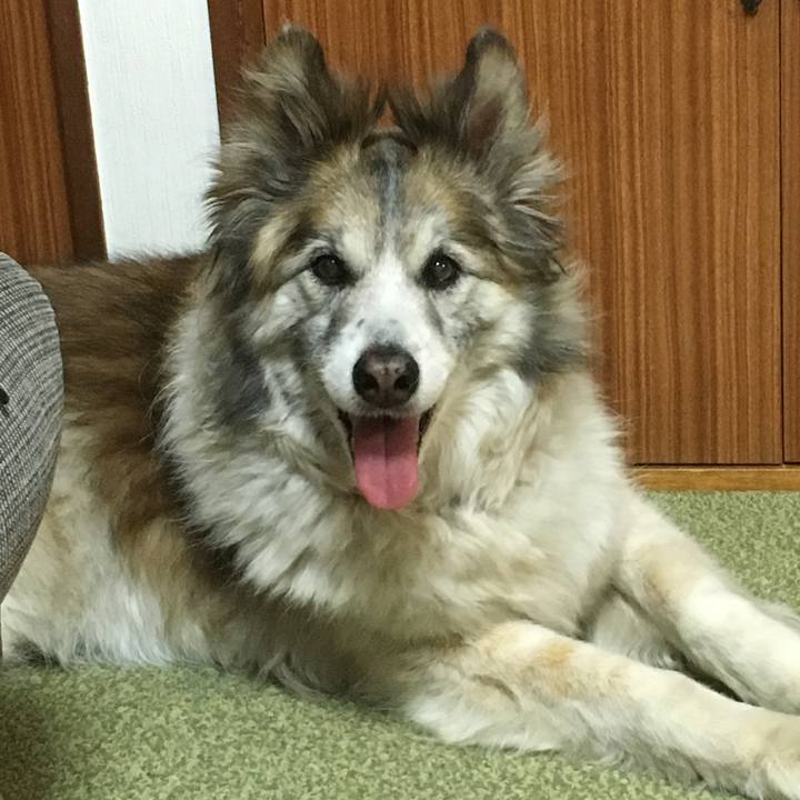 9535e9f8 5a69 4c3e b5df d80b4f8f82ab