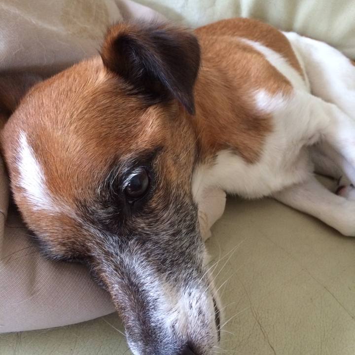 9535ed49 d980 4283 83a3 9cababd5e796