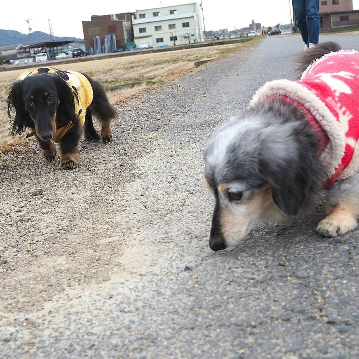 95360f26 65e6 4afd b197 3eacd820dab6