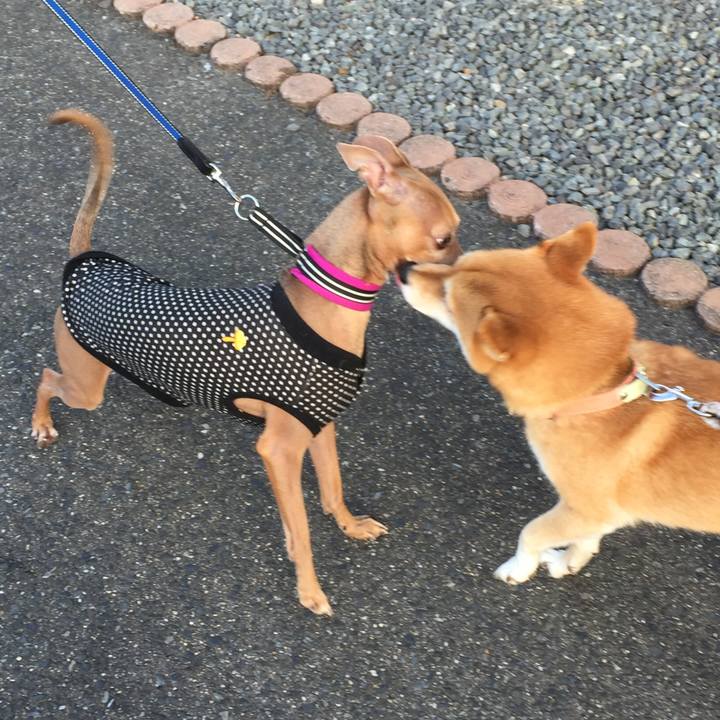 95362b5f 50ef 4aa4 bfea e9273a3f2c49