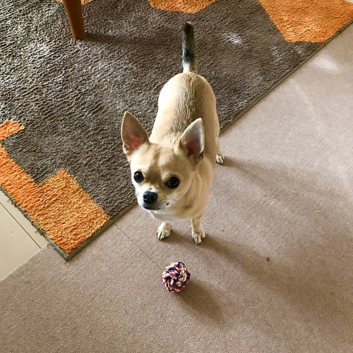 953631f0 4b6a 4a93 84ce 6e549729bbe9