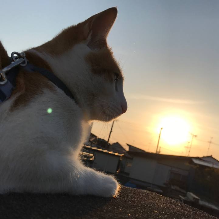 95371346 5bbb 4789 b88e bd22a700a07c