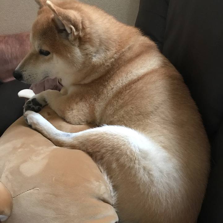 9537dc47 3f00 4342 8934 d185465127b1