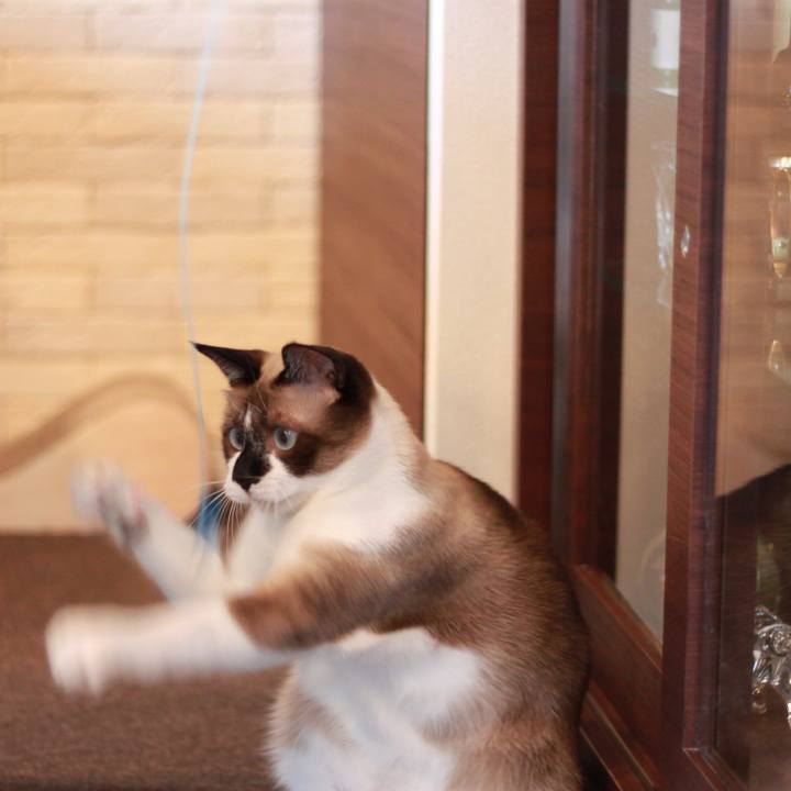 95385742 2ad6 4954 8c1b 1f9149d8ed74