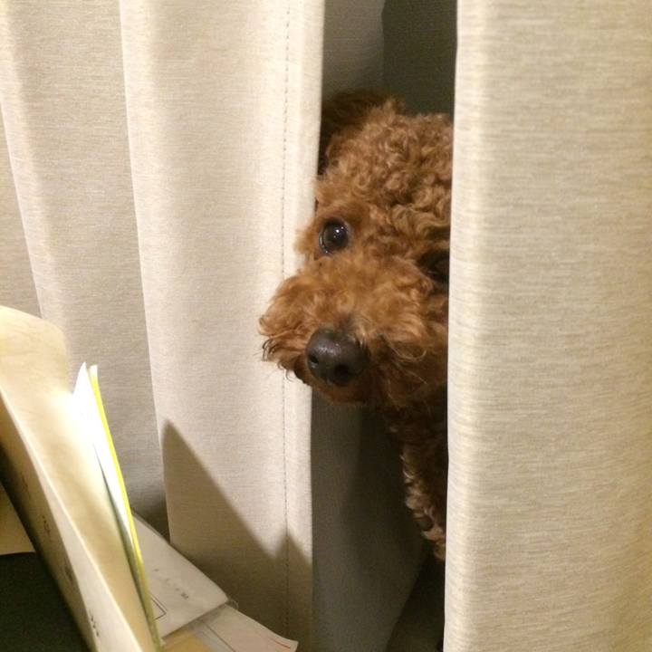 95389652 253b 4463 945b 7eac76635626