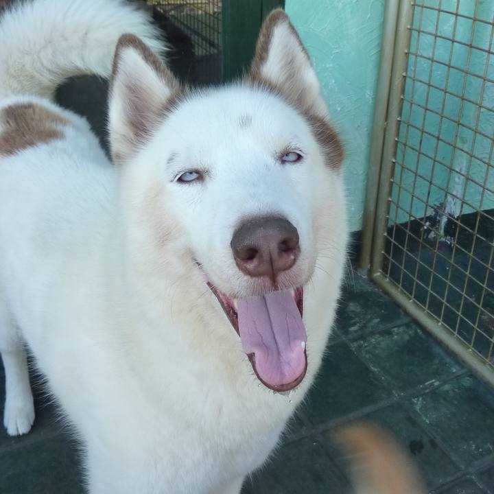 9538a9ba 4329 41aa 994e 6ce41a9f672c