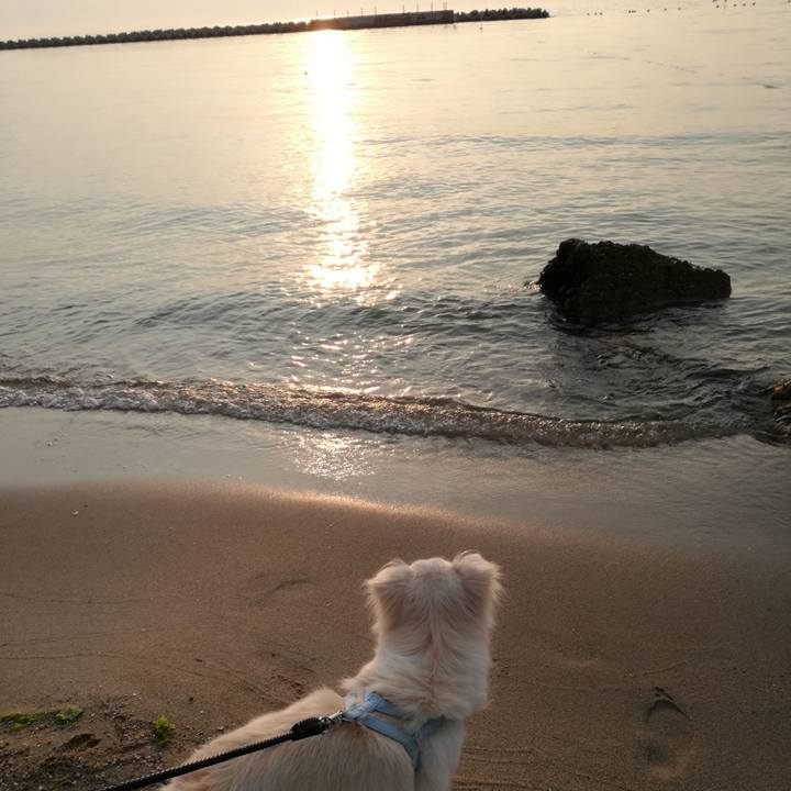 9538bdc4 54e4 41a7 9da8 768eeae136c8