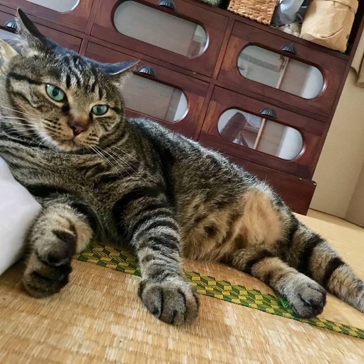 9538c146 763b 41e4 b4d7 8ac122f6b2ee