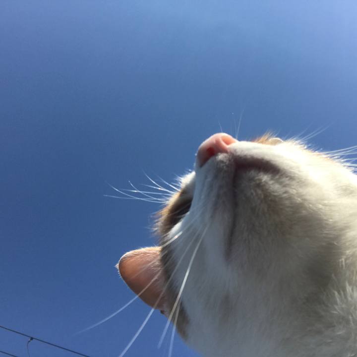 9538d3c3 7d94 42e5 bbfc 5ecc47f1570b