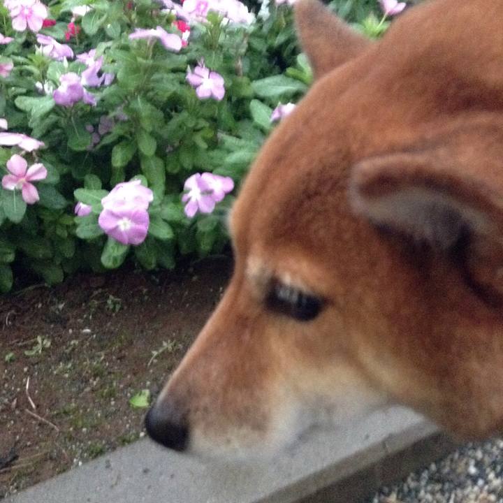 9538f38f dc6d 4a36 994d 1e9b79f9ba7e