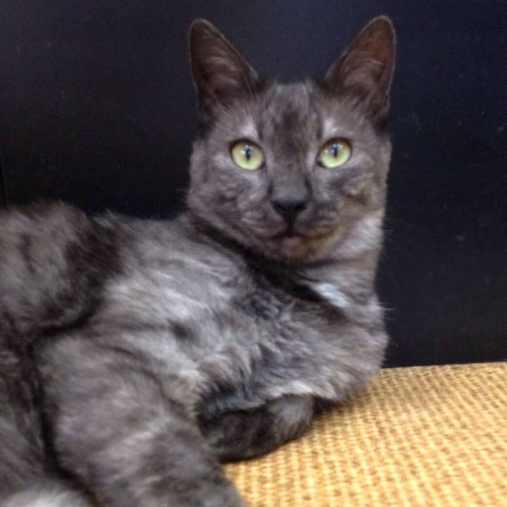 95391e10 faf6 4772 a287 c73c32923835