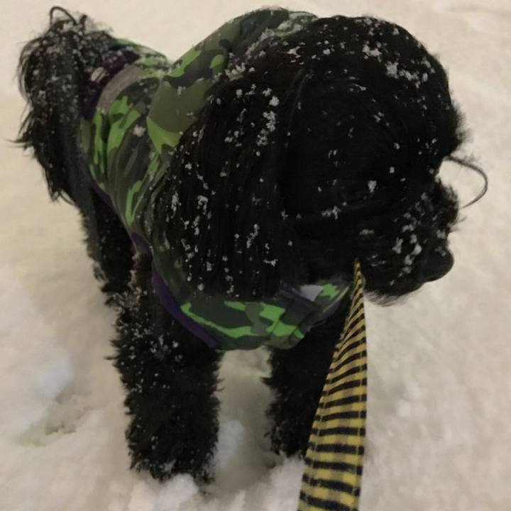 9539d61b e220 408d a761 91aa02e2baa2