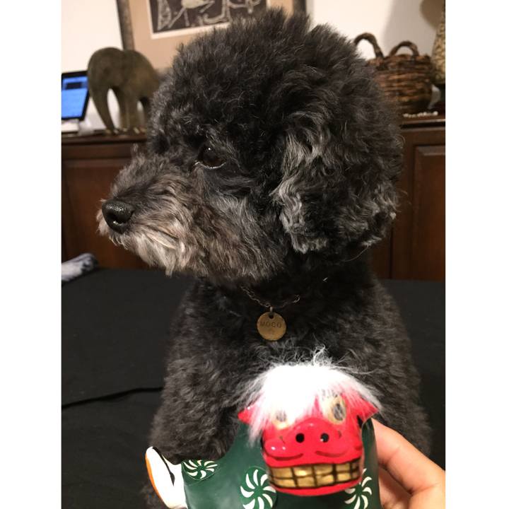 953a5ba4 487e 486b 8749 e1db28cf32d0