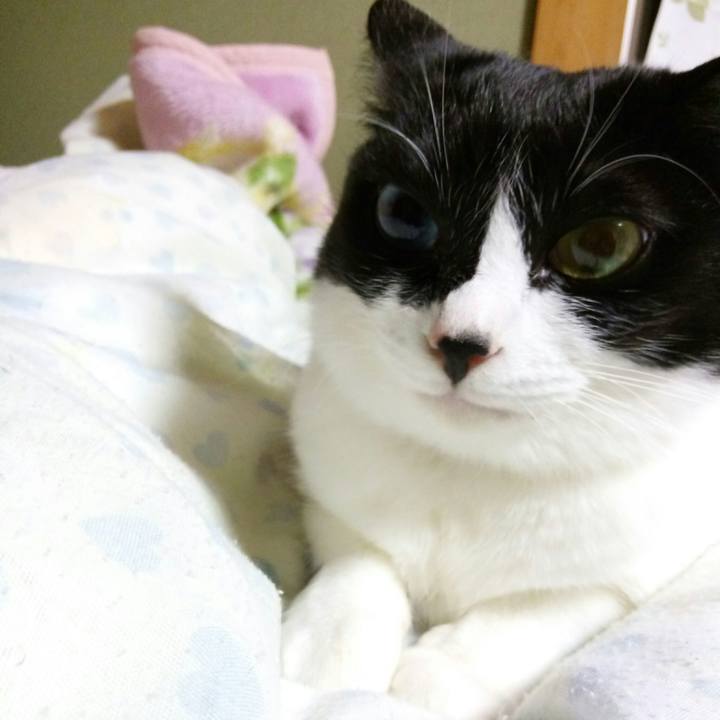 953a7db2 362b 46ea bab2 557ec3c447f2