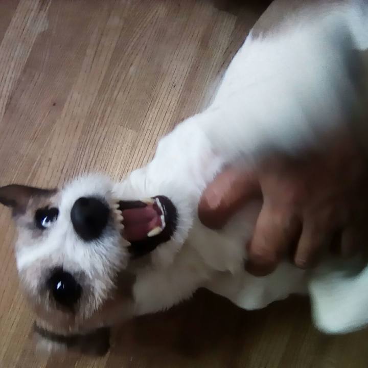 953a7fbd 1a0e 4805 b140 896ecdc5c653