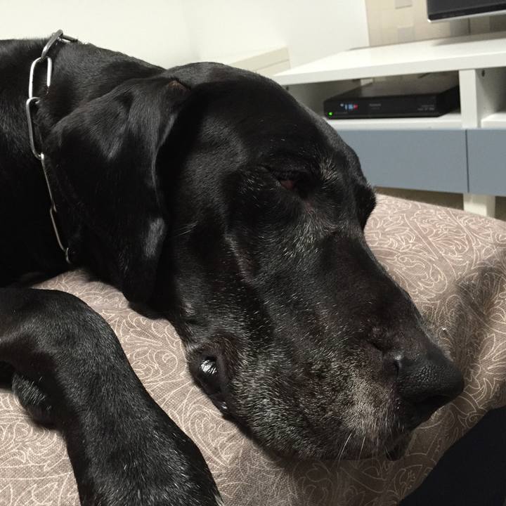 953a9f3a 9749 4860 90af 79e3eb525a92