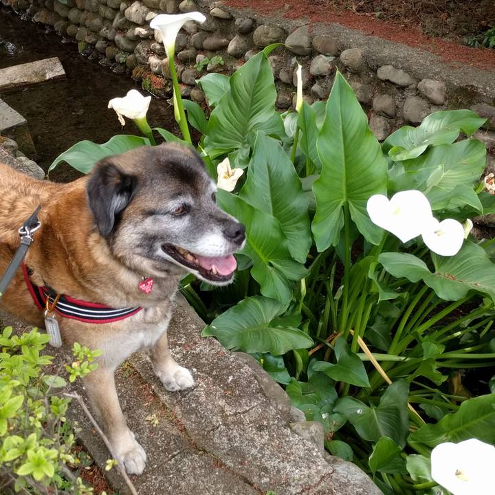 953aac58 882b 4bd6 8184 1112b6cef5b2