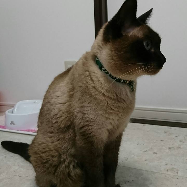 953afe16 e7ac 4115 95a7 3cdb1037b134