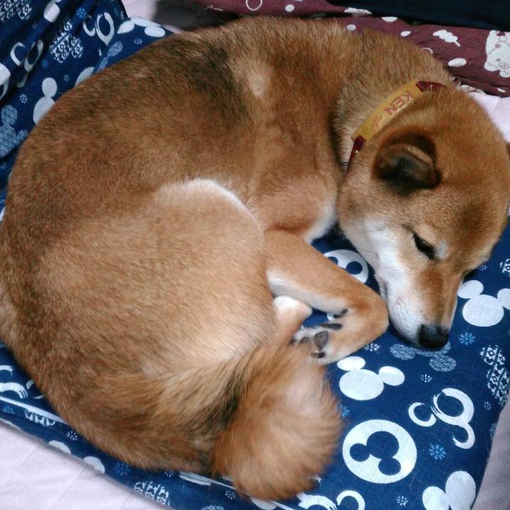 953b75c1 15a2 44f2 9014 880e1464e79b