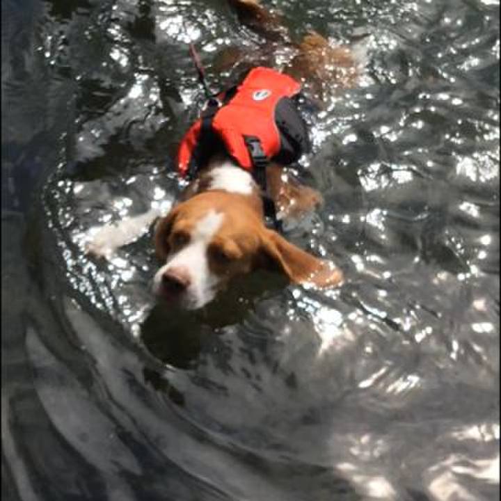 953bea84 7b82 406d b4dd baa8eea2950a