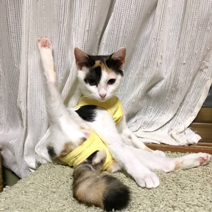 953bee02 df90 43aa a366 d1f3960eab73