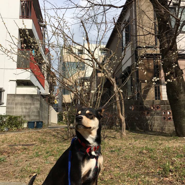 953c16e5 dab6 4aa1 917d e7e8c1b6f140