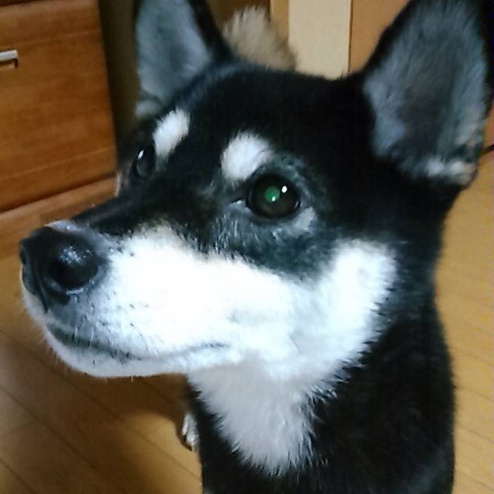 953c2be0 5b4b 4c63 997d e4fb7b5a9718