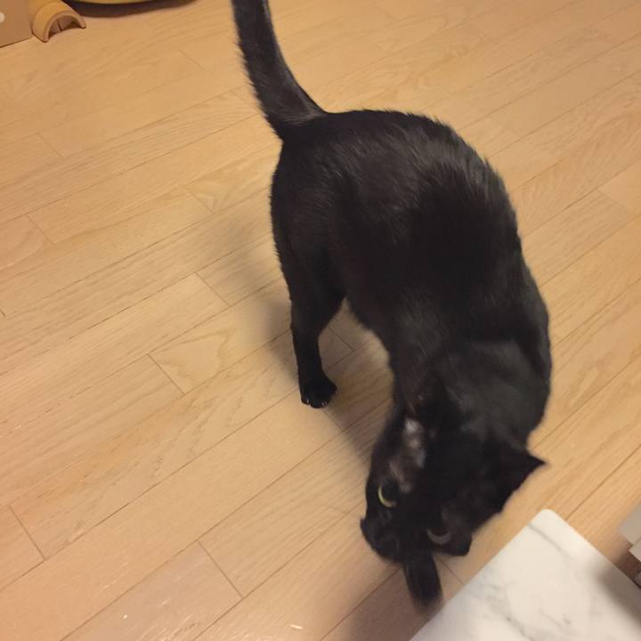 953c6fa5 d0bd 4e54 819a 6a21b5819bf8