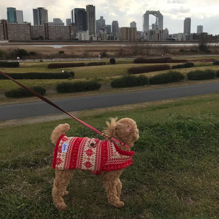 953c909f e1b9 47f1 b2fc da7dc26b06b9