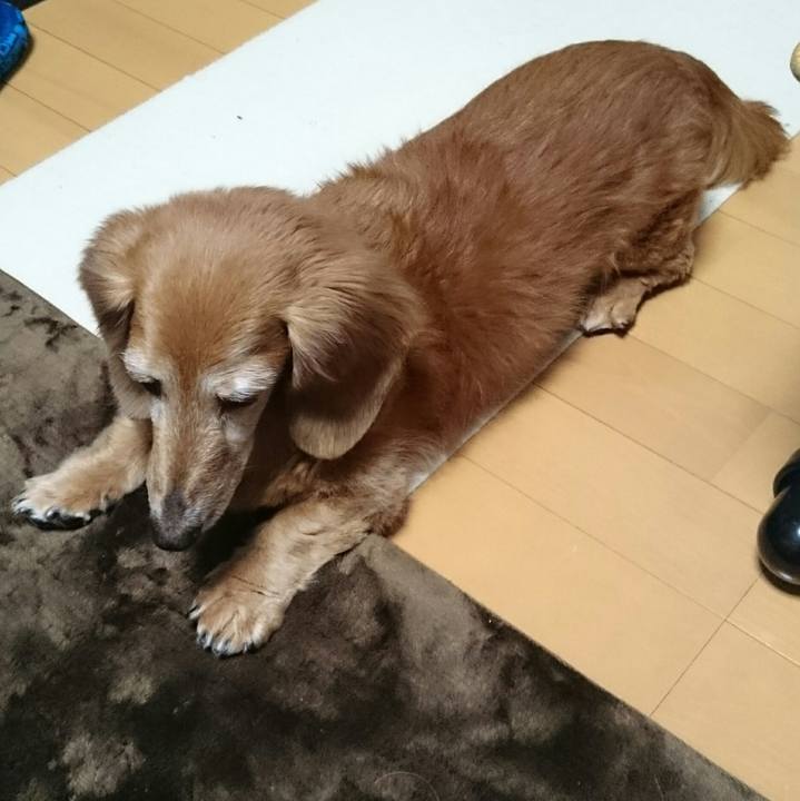 953ca1a0 5cfd 419f 836f 3314e1be76f5