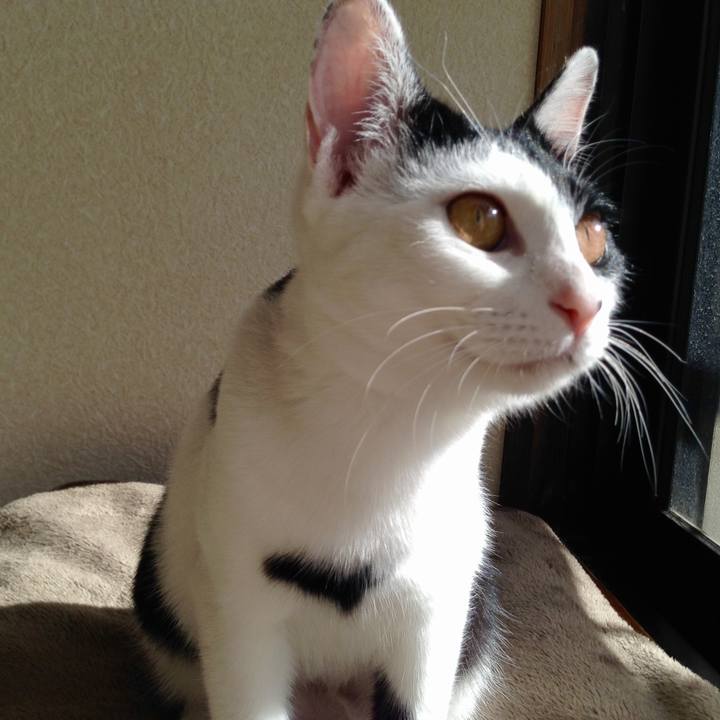 953cdca2 47e3 49ee b214 32b7e57fc50b