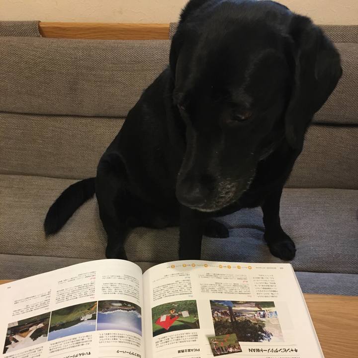 953d0923 66fc 47a9 969e efb997753e45