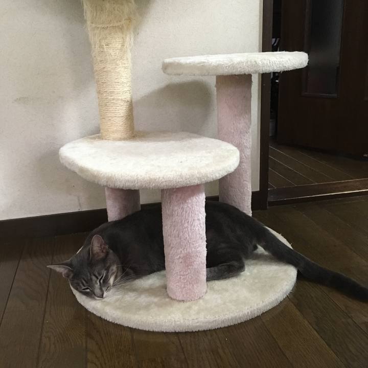 953d3029 12b5 4c4d 95dd e1903ced4d3c