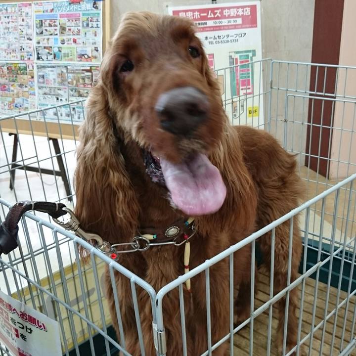 953d6ad2 6240 4e7e bd17 569d92356e9c